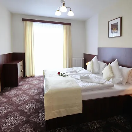 Hotel Spa Diana Františkovy Lázně